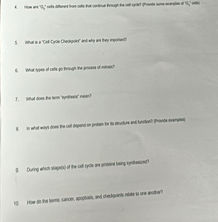 How are " G_0 cells different from cells that continue through the cell cycle? (Provide some examples of^((._9)^x) cess) 
5. What is a° Cell Cycle Checkpoint" and why are they important? 
6. What types of cells go through the process of mitosis? 
7. What does the term "synthesis" mean? 
8. In what ways does the cell depend on protein for its structure and function? (Provide examples) 
9. During which stage(s) of the cell cycle are proteins being synthesized? 
10. How do the terms: cancer, apoptosis, and checkpoints relate to one another?