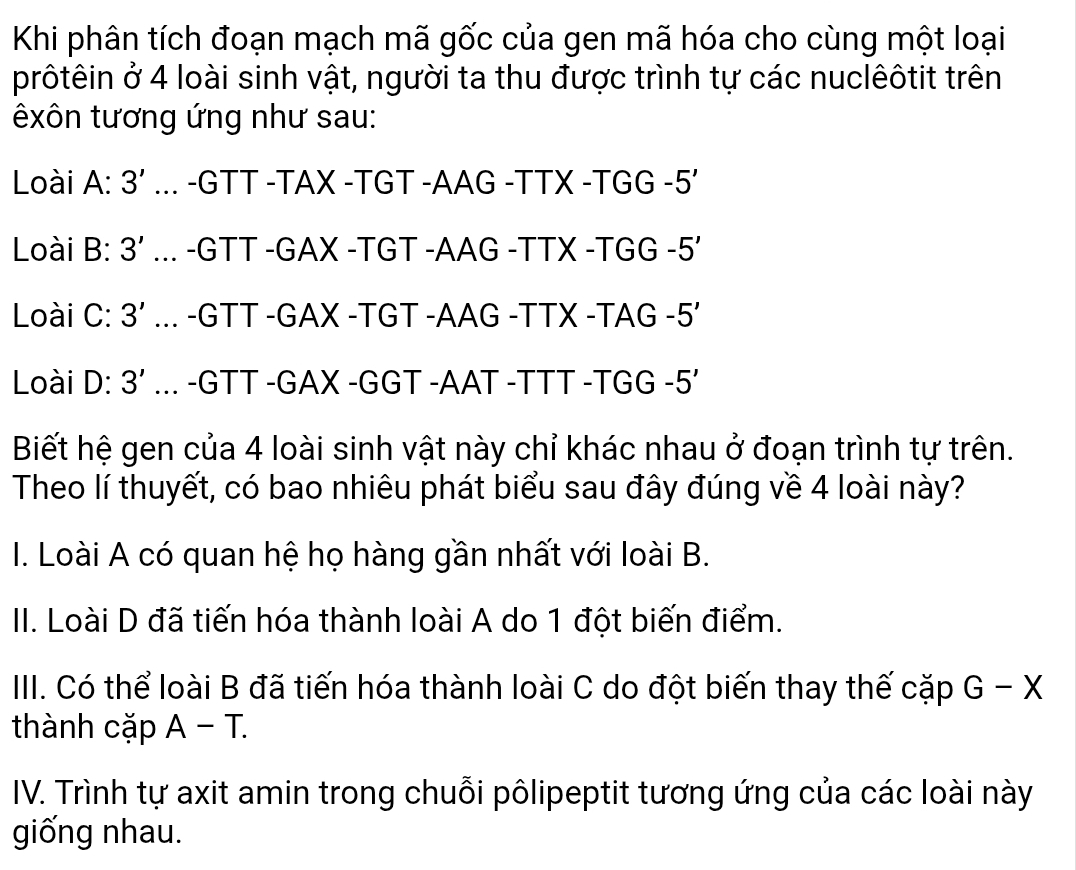 Khi phân tích đoạn mạch mã gốc của gen mã hóa cho cùng một loại
prôtêin ở 4 loài sinh vật, người ta thu được trình tự các nuclêôtit trên
txôn tương ứng như sau:
Loài A: 3'... -GTT -TAX -TGT -AAG -TTX -TGG -5'
Loài B: 3'... -GTT -GAX -TGT -AAG -TTX -TGG -5'
Loài C: 3'... -GTT -GAX -TGT -AAG -TTX -TAG -5'
Loài D: 3'... -GTT -GAX -GGT -AAT -TTT -TGG -5'
Biết hệ gen của 4 loài sinh vật này chỉ khác nhau ở đoạn trình tự trên.
Theo lí thuyết, có bao nhiêu phát biểu sau đây đúng về 4 loài này?
I. Loài A có quan hệ họ hàng gần nhất với loài B.
II. Loài D đã tiến hóa thành loài A do 1 đột biến điểm.
IIII. Có thể loài B đã tiến hóa thành loài C do đột biến thay thế cặp G-X
thành cặp A - T.
IV. Trình tự axit amin trong chuỗi pôlipeptit tương ứng của các loài này
giống nhau.