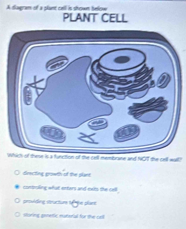 A diagram of a plant cell is shown below
PLANT CELL
of the cell membrane and NOT the cell wall?
directing growth of the plant
controling what enters and exits the cell
providing structure t he plant
stioring genetic material for the call