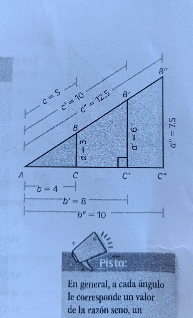 ''b'=8
''b''=10
+ 
Pista:
En general, a cada ángulo
le corresponde un valor
de la razón seno, un