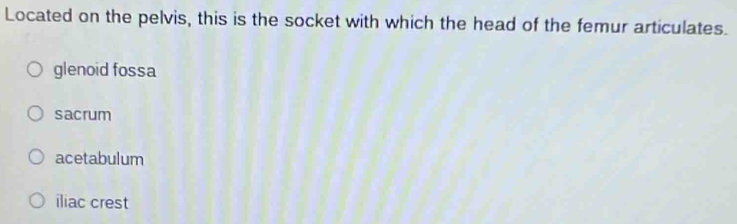 Located on the pelvis, this is the socket with which the head of the femur articulates.
glenoid fossa
sacrum
acetabulum
iliac crest