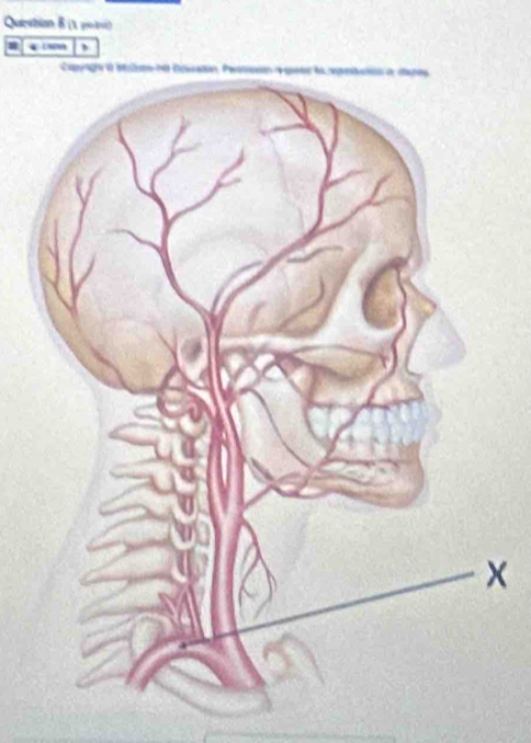 Queshian 8 (1 p0 1v) 
)