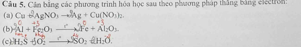 Cân bằng các phương trình hóa học sau theo phương pháp thăng bằng electron: 
(a) Cu + AgNO3 → Ag + Cu(NO3)2. 
(b) + Al + Fe₂O3 — Fe + Al₂O3. 
(c) H₂S HO2 —→ SO₂ +H₂O.