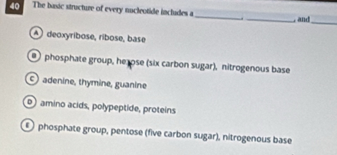 The basic structure of every nucleotide includes a
_
_ and
_
A deoxyribose, ríbose, base
phosphate group, he ose (six carbon sugar), nitrogenous base
adenine, thymine, guanine
amino acids, polypeptide, proteins
phosphate group, pentose (five carbon sugar), nitrogenous base