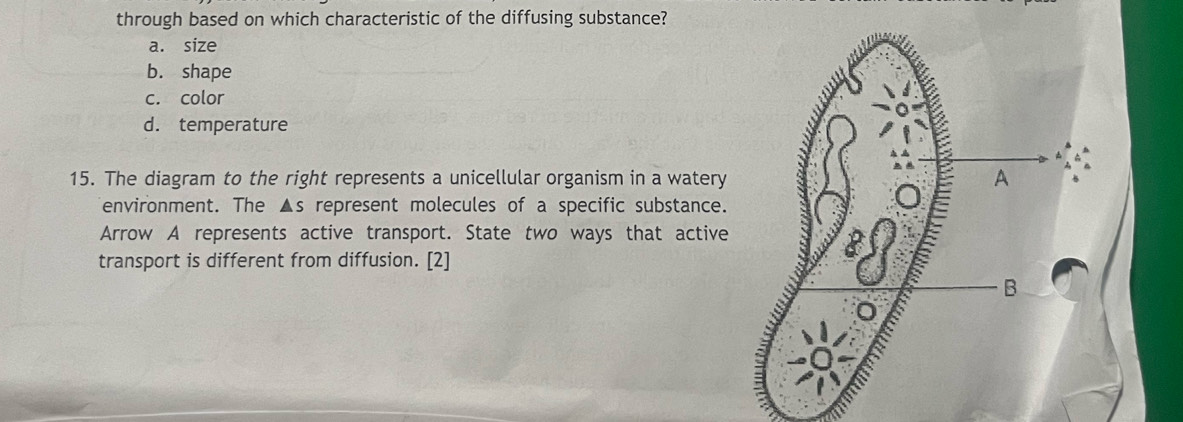 through based on which characteristic of the diffusing substance?
a. size
b. shape
c. color
d. temperature
15. The diagram to the right represents a unicellular organism in a watery
environment. The ▲s represent molecules of a specific substance.
Arrow A represents active transport. State two ways that active
transport is different from diffusion. [2]