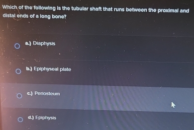 Which of the following is the tubular shaft that runs between the proximal and
distal ends of a long bone?
a.) Diaphysis
b.) Epiphyseal plate
c.) Periosteum
d.) Epiphysis