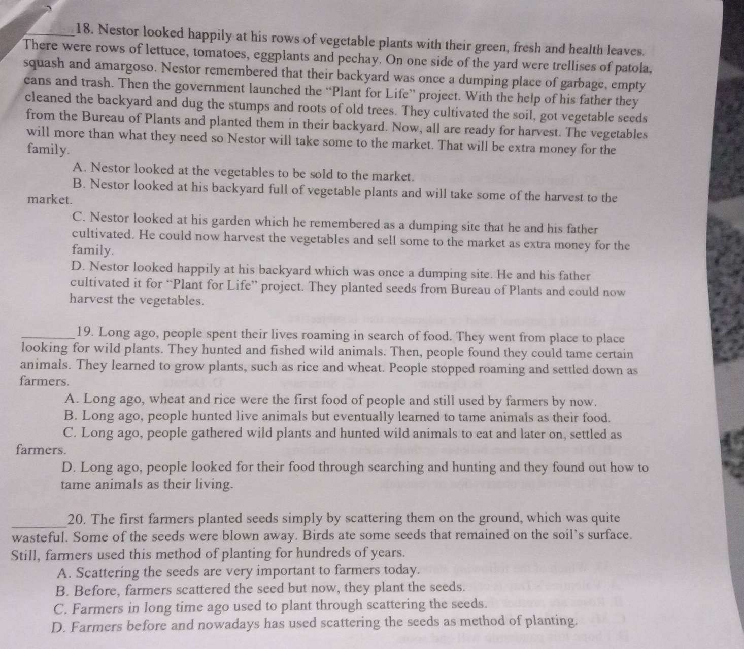Nestor looked happily at his rows of vegetable plants with their green, fresh and health leaves.
There were rows of lettuce, tomatoes, eggplants and pechay. On one side of the yard were trellises of patola,
squash and amargoso. Nestor remembered that their backyard was once a dumping place of garbage, empty
cans and trash. Then the government launched the “Plant for Life” project. With the help of his father they
cleaned the backyard and dug the stumps and roots of old trees. They cultivated the soil, got vegetable seeds
from the Bureau of Plants and planted them in their backyard. Now, all are ready for harvest. The vegetables
will more than what they need so Nestor will take some to the market. That will be extra money for the
family.
A. Nestor looked at the vegetables to be sold to the market.
B. Nestor looked at his backyard full of vegetable plants and will take some of the harvest to the
market.
C. Nestor looked at his garden which he remembered as a dumping site that he and his father
cultivated. He could now harvest the vegetables and sell some to the market as extra money for the
family.
D. Nestor looked happily at his backyard which was once a dumping site. He and his father
cultivated it for “Plant for Life” project. They planted seeds from Bureau of Plants and could now
harvest the vegetables.
_19. Long ago, people spent their lives roaming in search of food. They went from place to place
looking for wild plants. They hunted and fished wild animals. Then, people found they could tame certain
animals. They learned to grow plants, such as rice and wheat. People stopped roaming and settled down as
farmers.
A. Long ago, wheat and rice were the first food of people and still used by farmers by now.
B. Long ago, people hunted live animals but eventually learned to tame animals as their food.
C. Long ago, people gathered wild plants and hunted wild animals to eat and later on, settled as
farmers.
D. Long ago, people looked for their food through searching and hunting and they found out how to
tame animals as their living.
_
20. The first farmers planted seeds simply by scattering them on the ground, which was quite
wasteful. Some of the seeds were blown away. Birds ate some seeds that remained on the soil’s surface.
Still, farmers used this method of planting for hundreds of years.
A. Scattering the seeds are very important to farmers today.
B. Before, farmers scattered the seed but now, they plant the seeds.
C. Farmers in long time ago used to plant through scattering the seeds.
D. Farmers before and nowadays has used scattering the seeds as method of planting.
