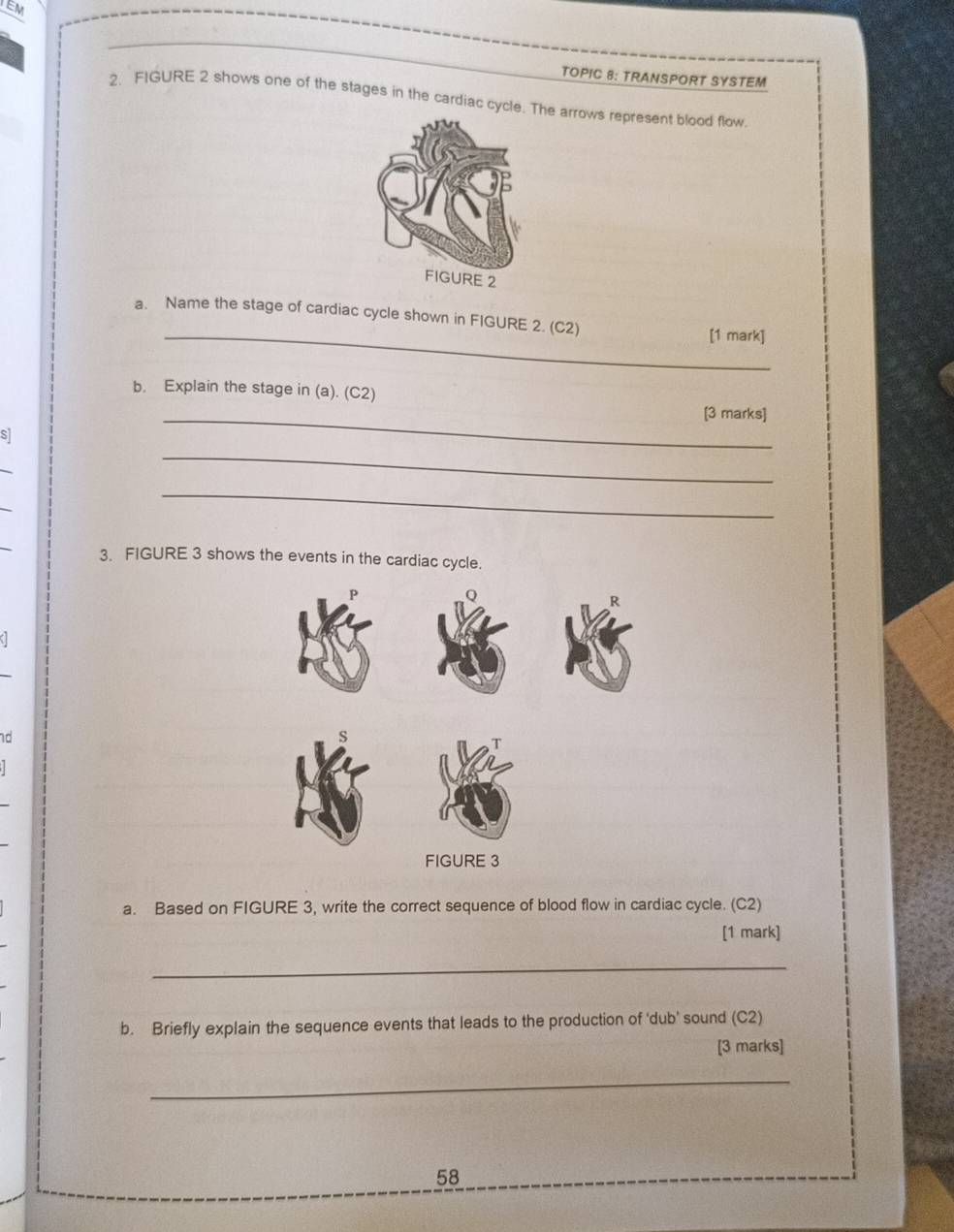 EM 
TOPIC 8: TRANSPORT SYSTEM 
2. FIGURE 2 shows one of the stages in the cardiac cycle. The arrows represent blood flow 
_ 
a. Name the stage of cardiac cycle shown in FIGURE 2. (C2) [1 mark] 
b. Explain the stage in (a). (C2) 
_[3 marks] 
_ 
s 
_ 
3. FIGURE 3 shows the events in the cardiac cycle. 
nd 
a. Based on FIGURE 3, write the correct sequence of blood flow in cardiac cycle. (C2) 
[1 mark] 
_ 
b. Briefly explain the sequence events that leads to the production of 'dub’ sound (C2) 
[3 marks] 
_ 
58