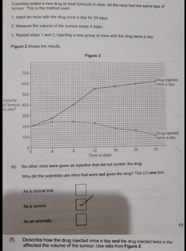 Scientists tested a new drug to treat tumours in mice. All the mice had the same type of
tumour. This is the method used.
1. Inject six mice with the drug once a day for 24 days.
2. Measure the volume of the tumour every 4 days.
3. Repeat steps 1 and 2, injecting a new group of mice with the drug twice a day.
Figure 2 shows the results.
Figure 2
700
Drug injected
600 once a day
500
Volume
of tumour 400
inmm^3
300
200
100 Drug injected
twice a day
0
0 4 8 12 16 20 24
Time in days
(e) Six other mice were given an injection that did not contain the drug.
Why did the scientists use mice that were not given the drug? Tick (√) one box.
As a clinical trial
As a control
As an anomaly
(1)
(f) Describe how the drug injected once a day and the drug injected twice a day
affected the volume of the tumour. Use data from Figure 2.