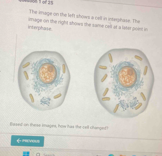 Solved: The image on the left shows a cell in interphase. The image on ...