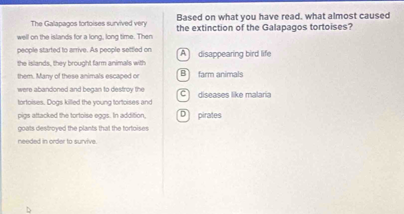 Based on what you have read. what almost caused
The Galapagos tortoises survived very the extinction of the Galapagos tortoises?
well on the islands for a long, long time. Then
people started to arrive. As people settled on A disappearing bird life
the islands, they brought farm animals with
them. Many of these animals escaped or B farm animals
were abandoned and began to destroy the C diseases like malaria
tortoises. Dogs killed the young tortoises and
pigs attacked the tortoise eggs. In addition, D pirates
goats destroyed the plants that the tortoises
needed in order to survive.