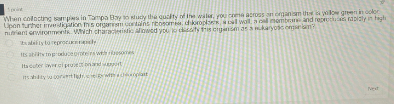 When collecting samples in Tampa Bay to study the quality of the water, you come across an organism that is yellow green in color.
Upon further investigation this organism contains ribosomes, chloroplasts, a cell wall, a cell membrane and reproduces rapidly in high
nutrient environments. Which characteristic allowed you to classify this organism as a eukaryotic organism?
Its ability to reproduce rapidly
Its ability to produce proteins with ribosomes
Its outer layer of protection and support
Its ability to convert light energy with a chloroplast
Next