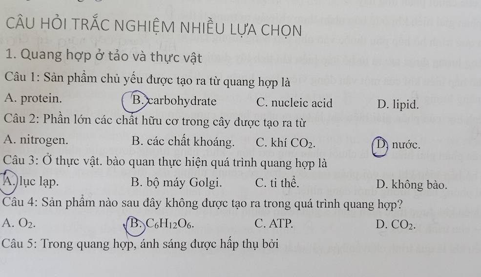 CÂU HỏI TRẤC NGHIỆM NHIÊU LựA CHọn
1. Quang hợp ở tảo và thực vật
Câu 1: Sản phẩm chủ yếu được tạo ra từ quang hợp là
A. protein. B. carbohydrate C. nucleic acid D. lipid.
Câu 2: Phần lớn các chất hữu cơ trong cây được tạo ra từ
A. nitrogen. B. các chất khoáng. C. khí CO_2. D. nước.
Câu 3:0 thực vật. bào quan thực hiện quá trình quang hợp là
A.)lục lạp. B. bộ máy Golgi. C. ti thể. D. không bào.
Câu 4: Sản phẩm nào sau đây không được tạo ra trong quá trình quang hợp?
A. O_2. B. C_6H_12O_6. C. ATP. D. CO_2. 
Câu 5: Trong quang hợp, ánh sáng được hấp thụ bởi