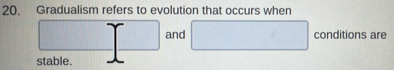 Gradualism refers to evolution that occurs when
□ □ and □ conditions are 
stable.