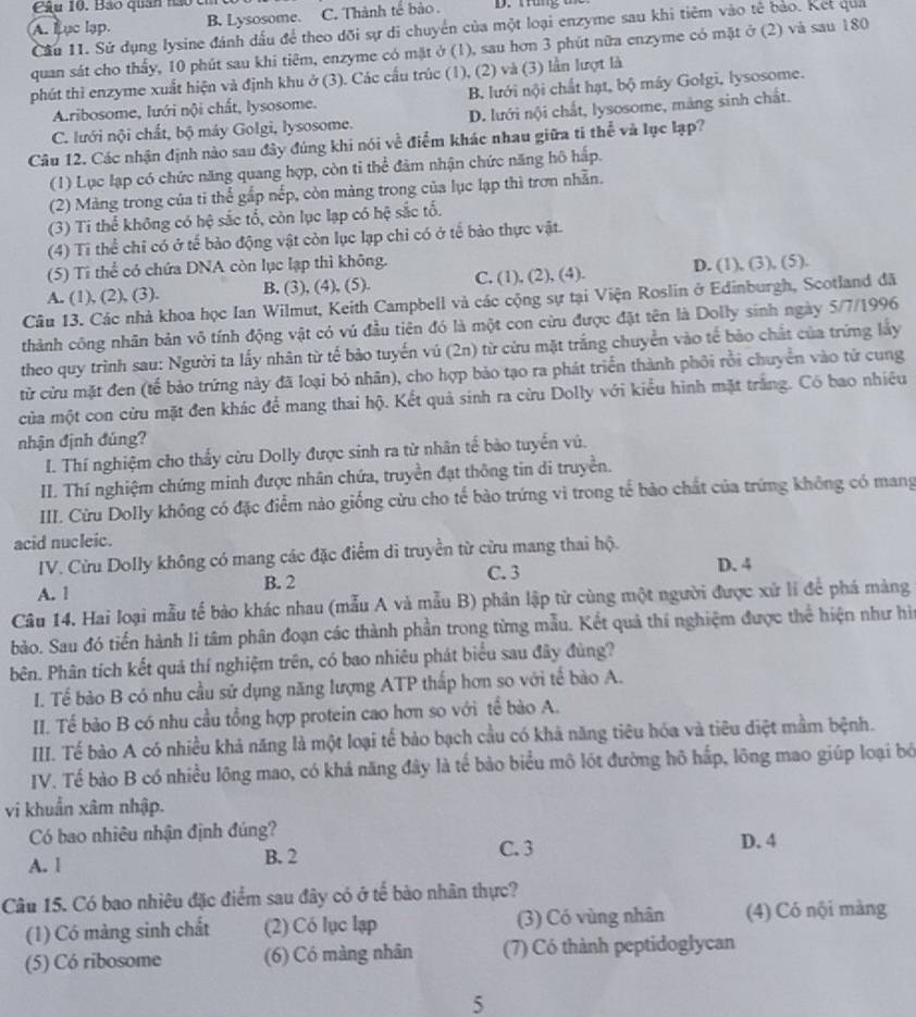 Báo quan nào cỉ
A. Iue lap. B. Lysosome. C. Thành tế bào . D. tun g  m
Cầu 11. Sử dụng lysine đánh dấu để theo dõi sự di chuyển của một loại enzyme sau khi tiêm vào tế bảo. Ket qua
quan sát cho thấy, 10 phút sau khi tiêm, enzyme có mặt ở (1), sau hơn 3 phút nữa enzyme có mặt ở (2) và sau 180
phút thì enzyme xuất hiện và định khu ở (3). Các cầu trúc (1), (2) và (3) lần lượt là
Aribosome, lưới nội chất, lysosome. B. lưới nội chất hạt, bộ máy Golgi, lysosome.
C. lưới nội chất, bộ máy Golgi, lysosome. D. lưới nội chất, lysosome, màng sinh chất.
Câu 12. Các nhận định nào sau đây đúng khi nói về điểm khác nhau giữa ti thể và lục lạp?
(1) Lục lạp có chức năng quang hợp, còn tỉ thể đảm nhận chức năng hô hấp.
(2) Màng trong của tỉ thể gấp nếp, còn màng trong của lục lạp thì trơn nhẫn.
(3) Ti thể không có hệ sắc tổ, còn lục lạp có hệ sắc tổ.
(4) Ti thể chỉ có ở tế bảo động vật còn lục lạp chỉ có ở tế bảo thực vật.
(5) Ti thể có chứa DNA còn lục lạp thì không.
A. (1), (2), (3). B. (3), (4), (5). C, (1), (2), (4). D. (1), (3), (5).
Câu 13. Các nhà khoa học Ian Wilmut, Keith Campbell và các cộng sự tại Viện Roslin ở Edinburgh, Scotland đã
thành công nhân bản vô tính động vật có vú đầu tiên đó là một con cừu được đặt tên là Dolly sinh ngày 5/7/1996
theo quy trình sau: Người ta lấy nhân từ tế bảo tuyến vú (2n) từ cừu mặt trắng chuyển vào tế bảo chất của trứng lấy
từ cửu mặt đen (tế bảo trứng này đã loại bỏ nhân), cho hợp bảo tạo ra phát triển thành phỏi rồi chuyển vào tử cung
của một con cừu mặt đen khác để mang thai hộ. Kết quả sinh ra cừu Dolly với kiểu hình mặt trắng. Có bao nhiêu
nhận định đúng?
I. Thí nghiệm cho thấy cừu Dolly được sinh ra từ nhân tế bào tuyển vú.
II. Thí nghiệm chứng minh được nhân chứa, truyền đạt thông tin di truyền.
III. Cừu Dolly không có đặc điểm nào giống cửu cho tế bào trứng vì trong tế bảo chất của trứng không có mang
acid nucleic.
IV. Cừu Dolly không có mang các đặc điểm di truyền từ cừu mang thai hộ. D. 4
A. 1 B. 2
C. 3
Câu 14. Hai loại mẫu tế bảo khác nhau (mẫu A và mẫu B) phân lập từ cùng một người được xử lí để phá màng
bào. Sau đó tiến hành li tâm phân đoạn các thành phần trong từng mẫu. Kết quả thí nghiệm được thể hiện như hì
hên. Phân tích kết quả thí nghiệm trên, có bao nhiêu phát biểu sau đây đùng?
I. Tế bào B có nhu cầu sử dụng năng lượng ATP thấp hơn so với tế bào A.
III. Tế bào B có nhu cầu tổng hợp protein cao hơn so với tể bào A.
III. Tế bào A có nhiều khả năng là một loại tế bảo bạch cầu có khả năng tiêu hóa và tiêu điệt mầm bệnh.
IV. Tế bào B có nhiều lông mao, có khá năng đây là tế bào biểu mô lốt đường hô hắp, lông mao giúp loại bộ
vi khuẩn xâm nhập.
Có bao nhiêu nhận định đúng?
C. 3
A. 1 B. 2 D. 4
Câu 15. Có bao nhiêu đặc điểm sau đây có ở tế bào nhân thực?
(1) Có màng sinh chất (2) Có lục lạp (3) Có vùng nhân (4) Có nội màng
(5) Có ribosome (6) Có màng nhân (7) Có thành peptidoglycan
5