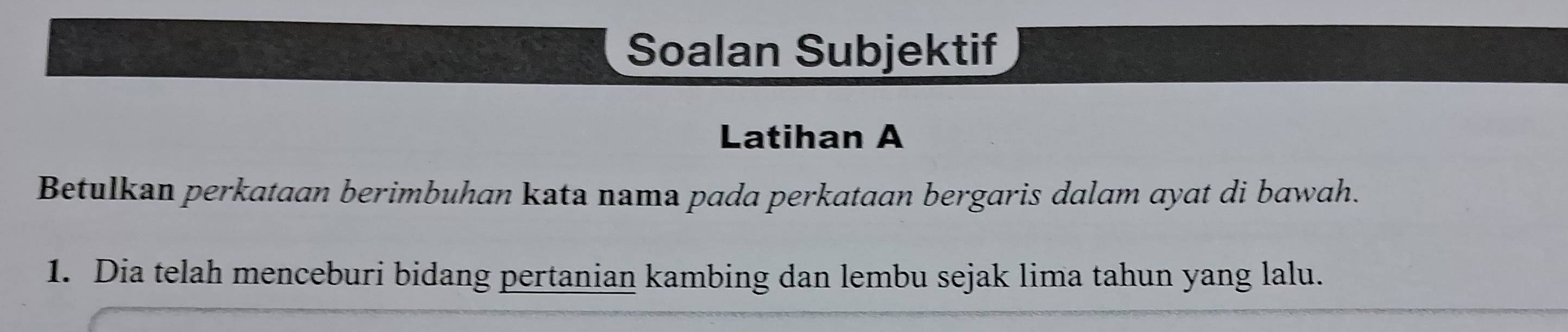 Soalan Subjektif 
Latihan A 
Betulkan perkataan berimbuhan kata nama pada perkataan bergaris dalam ayat di bawah. 
1. Dia telah menceburi bidang pertanian kambing dan lembu sejak lima tahun yang lalu.