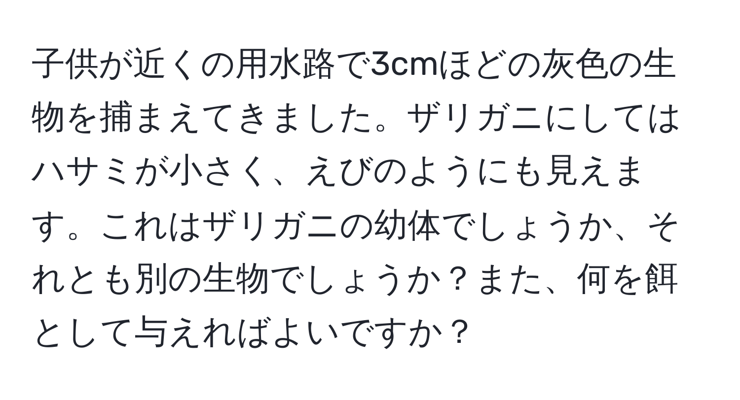 子供が近くの用水路で3cmほどの灰色の生物を捕まえてきました。ザリガニにしてはハサミが小さく、えびのようにも見えます。これはザリガニの幼体でしょうか、それとも別の生物でしょうか？また、何を餌として与えればよいですか？