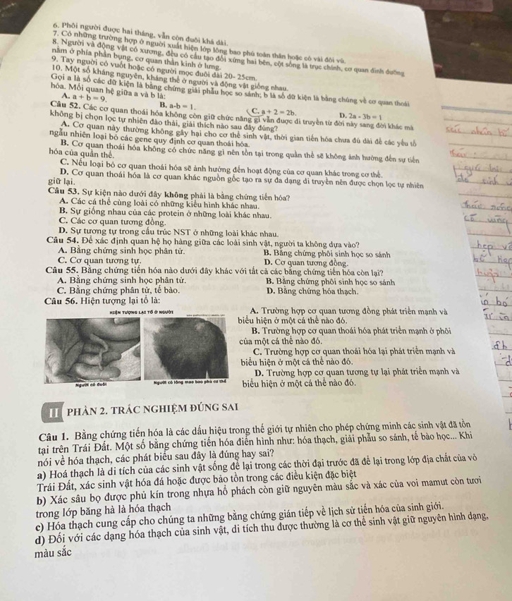 Phôi người được hai tháng, vẫn còn đuôi khá dài.
7. Có những trường hợp ở người xuất hiện lớp lồng bao phú toàn thân hoặc có vài đôi vù
8. Người và động vật có xương, đều có câu tạo đổi xứng hai bên, cột sống là trục chính, cơ quan đình dường
nằm ở phía phần bụng, cơ quan thần kinh ở lưng.
9. Tay người có vuốt hoặc có người mọc đuôi đài 20- 25cm.
10. Một số kháng nguyên, kháng thể ở người và động vật giống nhau.
Gọi a là số các dữ kiện là bằng chứng giải phầu học so sánh; b là số dữ kiện là bằng chúng về cơ quan thoái
A.
hóa. Mỗi quan hệ giữa a và b là: a+b=9, 2a-3b=1
B. a-b=1. C. a+2=2b. D.
Câu 52. Các cơ quan thoái hóa không còn giữ chức năng gi vẫn được di truyền từ đời này sang đời khác mà
không bị chọn lọc tự nhiên đào thải, giải thích nào sau đây đúng?
A. Cơ quan này thường không gây hại cho cơ thể sinh vật, thời gian tiến hóa chưa đủ dài để các yếu tổ
ngẫu nhiên loại bỏ các gene quy định cơ quan thoái hóa
B. Cơ quan thoái hóa không có chức năng gì nên tồn tại trong quần thể sẽ không ảnh hưởng đến sự tiến
hóa của quần thể.
C. Nếu loại bỏ cơ quan thoái hóa sẽ ảnh hưởng đến hoạt động của cơ quan khác trong cơ thể.
D. Cơ quan thoái hóa là cơ quan khác nguồn gốc tạo ra sự đa dạng di truyền nên được chọn lọc tự nhiên
giữ lại.
Câu 53. Sự kiện nào dưới đây không phải là bằng chứng tiến hóa?
A. Các cá thể cùng loài có những kiểu hình khác nhau.
B. Sự giống nhau của các protein ở những loài khác nhau.
C. Các cơ quan tương đồng.
D. Sự tương tự trong cầu trúc NST ở những loài khác nhau.
Câu 54. Để xác định quan hệ họ hàng giữa các loài sinh vật, người ta không dựa vào?
A. Bằng chứng sinh học phân tử. B. Bằng chứng phôi sinh học so sánh
C. Cơ quan tương tự. D. Cơ quan tương đồng.
Câu 55. Bằng chứng tiến hóa nào dưới đây khác với tắt cả các bằng chứng tiến hóa còn lại?
A. Bằng chứng sinh học phân tử. B. Bằng chứng phôi sinh học so sánh
C. Bằng chứng phân tử, tế bào. D. Bằng chứng hóa thạch.
Câu 56. Hiện tượng lại tổ là:
Hiện tượng lại tổ ở người A. Trường hợp cơ quan tương đồng phát triển mạnh và
biểu hiện ở một cá thể nào đó.
B. Trường hợp cơ quan thoái hóa phát triển mạnh ở phôi
của một cá thể nào đó.
C. Trường hợp cơ quan thoái hóa lại phát triển mạnh và
biểu hiện ở một cá thể nào đó.
D. Trường hợp cơ quan tương tự lại phát triển mạnh và
Người có lồng mao bao phà cơ thể biểu hiện ở một cá thể nào đó.
II  phản 2. trác nghiệm đúng sai
Câu 1. Bằng chứng tiến hóa là các dấu hiệu trong thế giới tự nhiên cho phép chứng minh các sinh vật đã tồn
tại trên Trái Đất. Một số bằng chứng tiến hóa điển hình như: hóa thạch, giải phẫu so sánh, tế bào học... Khi
nói về hóa thạch, các phát biểu sau đây là đúng hay sai?
a) Hoá thạch là di tích của các sinh vật sống để lại trong các thời đại trước đã để lại trong lớp địa chất của vỏ
Trái Đất, xác sinh vật hóa đá hoặc được bảo tồn trong các điều kiện đặc biệt
b) Xác sâu bọ được phủ kín trong nhựa hổ phách còn giữ nguyên màu sắc và xác của voi mamut còn tươi
trong lớp băng hà là hóa thạch
c) Hóa thạch cung cấp cho chúng ta những bằng chứng gián tiếp về lịch sử tiến hóa của sinh giới.
d) Đối với các dạng hóa thạch của sinh vật, di tích thu được thường là cơ thể sinh vật giữ nguyên hình dạng,
màu sắc