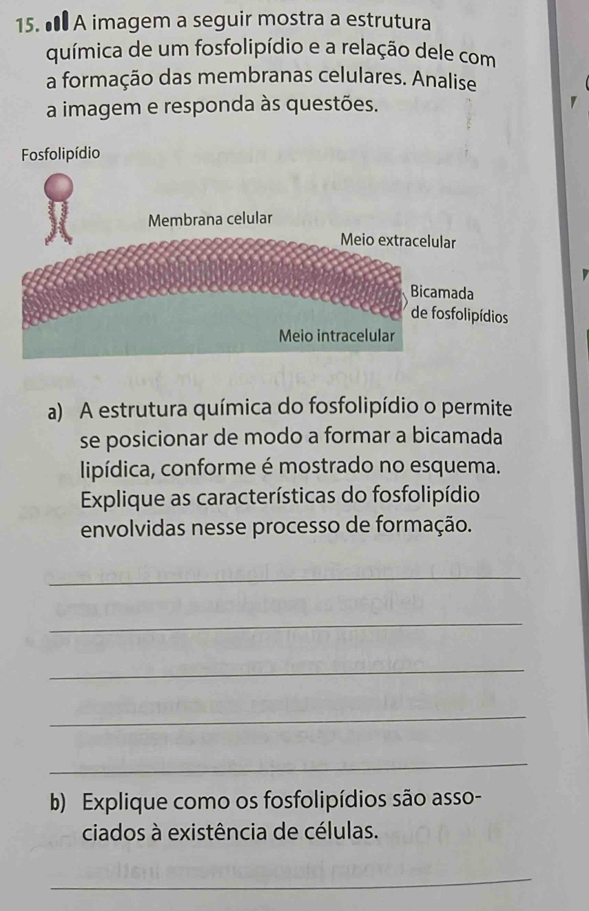 • A imagem a seguir mostra a estrutura 
química de um fosfolipídio e a relação dele com 
a formação das membranas celulares. Analise 
a imagem e responda às questões. 
Fosfolipídio 
a) A estrutura química do fosfolipídio o permite 
se posicionar de modo a formar a bicamada 
lipídica, conforme é mostrado no esquema. 
Explique as características do fosfolipídio 
envolvidas nesse processo de formação. 
_ 
_ 
_ 
_ 
_ 
b) Explique como os fosfolipídios são asso- 
ciados à existência de células. 
_