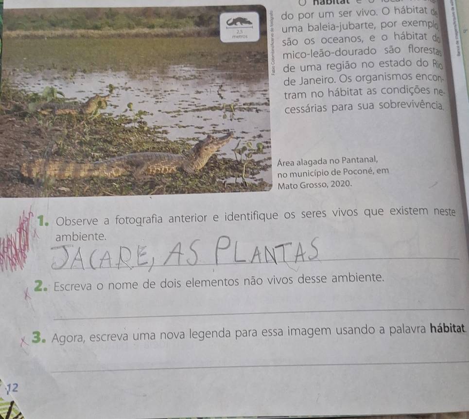 nabitat 
or um ser vivo. O hábitat 
baleia-jubarte, por exempl 
os oceanos, e o hábitat do a 0 
-leão-dourado são florestas 
ma região no estado do Rio 
aneiro. Os organismos encon 
no hábitat as condições ne 
árias para sua sobrevivência 
gada no Pantanal, 
icípio de Poconé, em 
rosso, 2020. 
Observe a fotografia anterior e identifique os seres vivos que existem neste 
ambiente. 
_ 
2ª Escreva o nome de dois elementos não vivos desse ambiente. 
_ 
3. Agora, escreva uma nova legenda para essa imagem usando a palavra hábitat. 
_ 
12