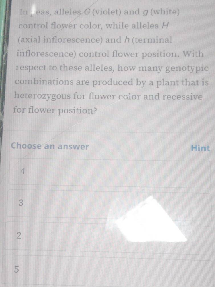 In k eas, alleles G (violet) and ɡ (white)
control flower color, while alleles H
(axial inflorescence) and h (terminal
inflorescence) control flower position. With
respect to these alleles, how many genotypic
combinations are produced by a plant that is
heterozygous for flower color and recessive
for flower position?
Choose an answer Hint
4
3
2
5