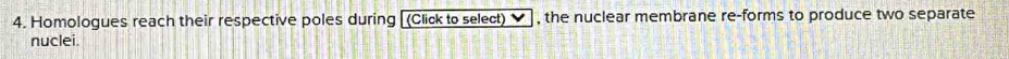 Homologues reach their respective poles during [(Click to select) , the nuclear membrane re-forms to produce two separate 
nuclei.