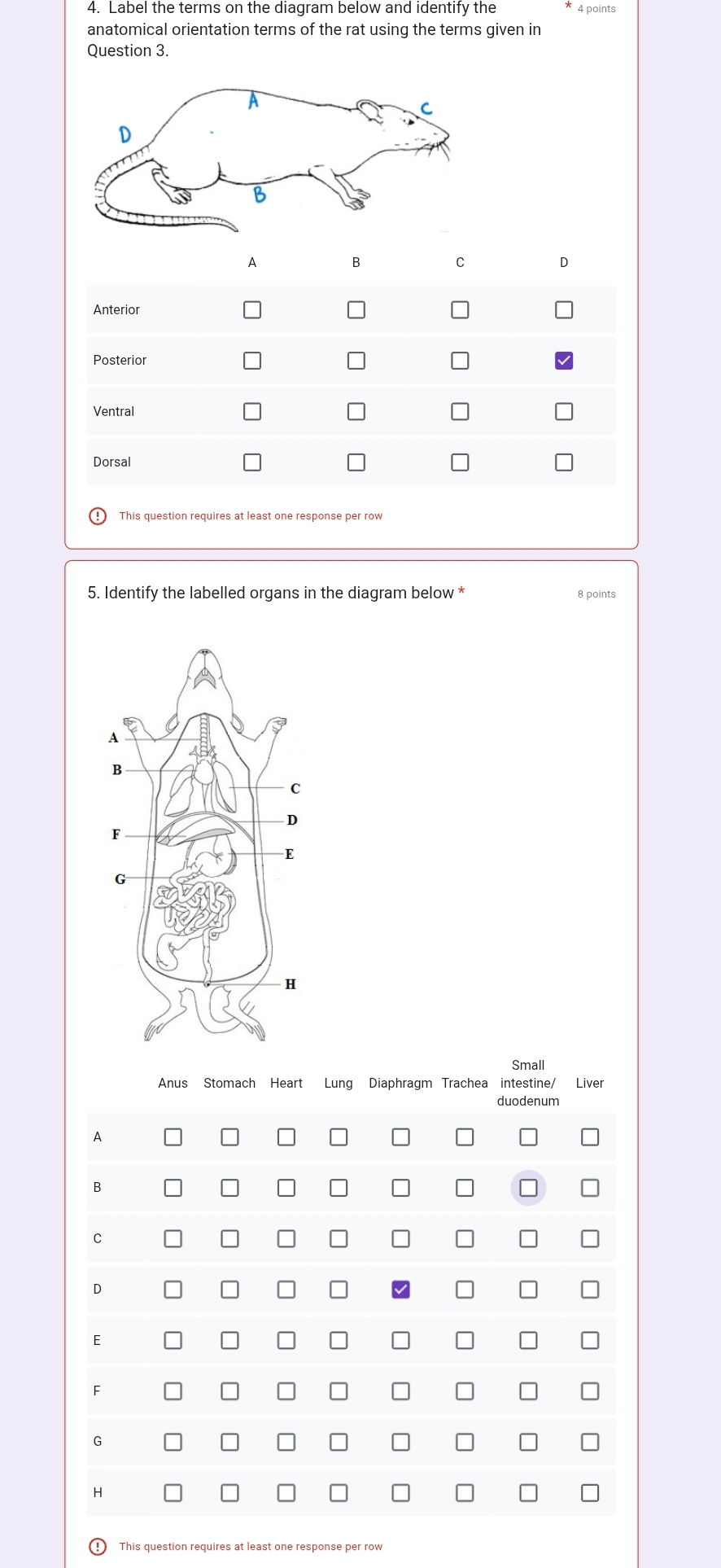 Label the terms on the diagram below and identify the * 4 points
anatomical orientation terms of the rat using the terms given in
Question 3.
A
B
C
D
Anterior
Posterior
Ventral
Dorsal
This question requires at least one response per row
5. Identify the labelled organs in the diagram below * 8 points
Small
Anus Stomach Heart Lung Diaphragm Trachea intestine/ Liver
duodenum
A
B
C
D
E
F
G
H