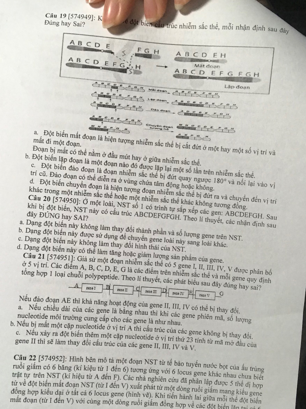 [574949]: K L ể đột biển cầu trúc nhiễm sắc thể, mỗi nhận định sau đây
Đúng hay Sai?
A B C D E F G H A B C D E H
S
A B C D E F G H
Mặt đoạn
A B C D E F G F G H
Lập đoạn
Mật đoạn
Lập đoạn
Dáo đoạn
mất đi một đoạn.
Ba. Đột biến mất đoạn là hiện tượng nhiễm sắc thể bị cắt đứt ở một hay một số vị trí và
Đoạn bị mất có thể nằm ở đầu mút hay ở giữa nhiễm sắc thể.
b. Đột biến lặp đoạn là một đoạn nào đó được lặp lại một số lần trên nhiễm sắc thể.
c. Đột biến đảo đoạn là đoạn nhiễm sắc thể bị đứt quay ngược 180° và nối lại vào vị
trí cũ. Đảo đoạn có thể diễn ra ở vùng chứa tâm động hoặc không.
d. Đột biến chuyển đoạn là hiện tượng đoạn nhiễm sắc thể bị đứt ra và chuyền đến vị trí
khác trong một nhiễm sắc thể hoặc một nhiễm sắc thể khác không tương đồng.
Câu 20 [574950]: Ở một loài, NST số 1 có trình tự sắp xếp các gen: ABCDEFGH. Sau
khi bị đột biến, NST này có cấu trúc ABCDEFGFGH. Theo lí thuyết, các nhận định sau
đây ĐÚNG hay SAI?
a. Dạng đột biến này không làm thay đổi thành phần và số lượng gene trên NST.
b. Dạng đột biến này được sử dụng để chuyển gene loài này sang loài khác.
c. Dạng đột biến này không làm thay đổi hình thái của NST.
d. Dạng đột biến này có thể làm tăng hoặc giảm lượng sản phẩm của gene.
Câu 21 [574951]: Giả sử một đoạn nhiễm sắc thể có 5 gene I, II, III, IV, V được phân bố
ở 5 vị trí. Các điểm A, B, C, D, E, G là các điểm trên nhiễm sắc thề và mỗi gene quy định
tổng hợp 1 loại chuỗi polypeptide. Theo lí thuyết, các phát biểu sau đây đúng hay sai?
A genel zene II zene III gene IV E G
zene V
Nếu đảo đoạn AE thì khả năng hoạt động của gene II, III, IV có thể bị thay đổi.
a. Nếu chiều dài của các gene là bằng nhau thì khi các gene phiên mã, số lượng
nucleotide môi trường cung cấp cho các gene là như nhau.
b. Nếu bị mất một cặp nucleotide ở vị trí A thì cấu trúc của các gene không bị thay đổi.
c. Nếu xảy ra đột biến thêm một cặp nucleotide ở vị trí thứ 23 tính từ mã mở đầu của
gene II thì sẽ làm thay đổi cấu trúc của các gene II, III, IV và V.
Câu 22 [574952]: Hình bên mô tả một đoạn NST từ tế bào tuyến nước bọt của ấu trùng
ruồi giấm có 6 băng (kí kiệu từ 1 đến 6) tương ứng với 6 locus gene khác nhau chưa biết
trật tự trên NST (kí hiệu từ A đến F). Các nhà nghiên cứu đã phân lập được 5 thể dị hợp
tử về đột biến mất đoạn NST (từ I đến V) xuất phát từ một dòng ruồi giấm mang kiểu gene
đồng hợp kiểu dại ở tất cả 6 locus gene (hình vẽ). Khi tiến hành lai giữa mỗi thể đột biển
mất đoạn (từ I đến V) với cùng một dòng ruồi giấm đồng hợp về các đột biển lăn tại cả