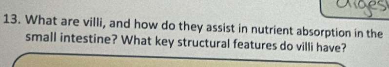 What are villi, and how do they assist in nutrient absorption in the 
small intestine? What key structural features do villi have?