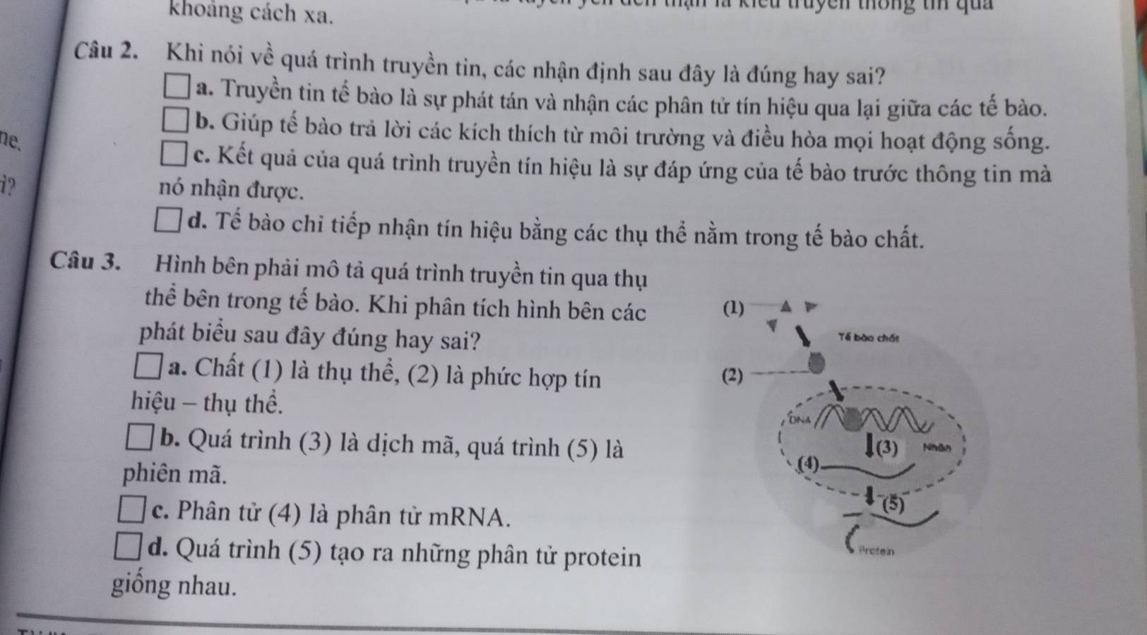 khoảng cách xa. cu truyen thông tn qua 
Câu 2. Khi nói về quá trình truyền tin, các nhận định sau đây là đúng hay sai?
a. Truyền tin tế bào là sự phát tán và nhận các phân tử tín hiệu qua lại giữa các tế bào.
b. Giúp tế bào trả lời các kích thích từ môi trường và điều hòa mọi hoạt động sống.
ne.
c. Kết quả của quá trình truyền tín hiệu là sự đáp ứng của tế bào trước thông tin mà
i? nó nhận được.
d. Tế bào chỉ tiếp nhận tín hiệu bằng các thụ thể nằm trong tế bào chất.
Câu 3. Hình bên phải mô tả quá trình truyền tin qua thụ
thể bên trong tế bào. Khi phân tích hình bên các 
phát biểu sau đây đúng hay sai?
a. Chất (1) là thụ thể, (2) là phức hợp tín 
hiệu - thụ thể.
b. Quá trình (3) là dịch mã, quá trình (5) là
phiên mã.
c. Phân tử (4) là phân tử mRNA.
d. Quá trình (5) tạo ra những phân tử protein
giống nhau.