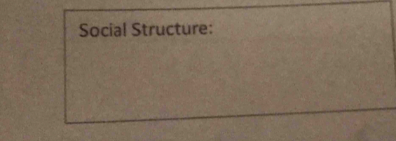 Social Structure: