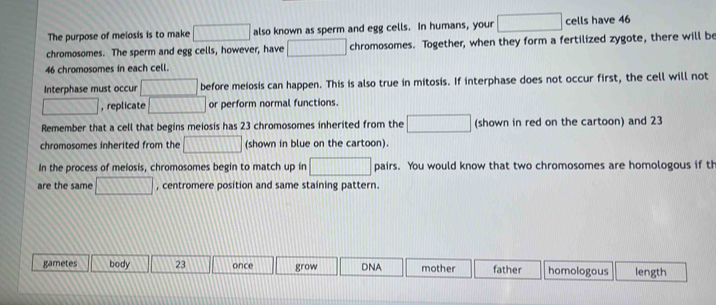 The purpose of meiosis is to make □ also known as sperm and egg cells. In humans, your □ cells have 46
chromosomes. The sperm and egg cells, however, have □ chromosomes. Together, when they form a fertilized zygote, there will be
46 chromosomes in each cell.
Interphase must occur □ before meiosis can happen. This is also true in mitosis. If interphase does not occur first, the cell will not
□ , replicate □ or perform normal functions.
Remember that a cell that begins meiosis has 23 chromosomes inherited from the □ (shown in red on the cartoon) and 23
chromosomes inherited from the □ (shown in blue on the cartoon).
In the process of melosis, chromosomes begin to match up in □ pairs. You would know that two chromosomes are homologous if th
are the same □ , centromere position and same staining pattern.
gametes body 23 once grow DNA mother father homologous length