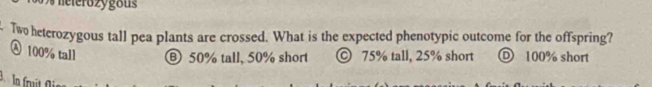 neterozygous
. Two heterozygous tall pea plants are crossed. What is the expected phenotypic outcome for the offspring?
Ⓐ 100% tall
⑧ 50% tall, 50% short © 75% tall, 25% short Ⓓ 100% short
In fruit f