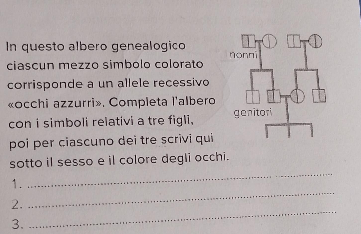 In questo albero genealogico 
ciascun mezzo simbolo colorato 
corrisponde a un allele recessivo 
«occhi azzurri». Completa l'albero 
con i simboli relativi a tre figli, 
poi per ciascuno dei tre scrivi qui 
sotto il sesso e il colore degli occhi. 
1. 
_ 
2. 
_ 
3. 
_