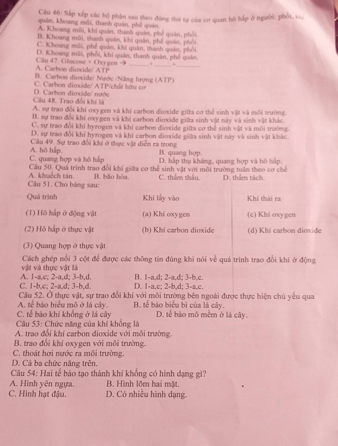 Sắp xếp các bộ phận sau theo đứng thứ tự của cơ quan hô hấp ở người: phối, k
quản, khoang mũi, thanh quản, phế quán.
A. Khoang mũi, khí quân, thanh quản, phế quản, phối.
B. Khoang mũi, thanh quản, khi quản, phế quản, phối.
C. Khoang mũi, phê quản, khi quán, thanh quản, phối.
D. Khoang mũi, phối, khi quản, thanh quản, phế quản.
Câu 47. Glucose + Oxygen_
+_
A. Carbon dioxide/ ATP
B. Carbon dioxide/ Nước /Năng lượng (ATP)
C. Carbon dioxide/ ATP/chất hữu cơ
D. Carbon dioxide/ nước
Câu 48. Trao đổi khí là
A. sự trao đổi khí oxygen và khí carbon dioxide giữa cơ thể sinh vật và môi trường.
B. sự trao đổi khí oxygen và khí carbon dioxide giữa sinh vật này và sinh vật khác.
C. sự trao đổi khí hyrogen và khí carbon dioxide giữa cơ thể sinh vật và môi trường.
D. sự trao đổi khí hyrogen và khí carbon dioxide giữa sinh vật này và sinh vật khác.
Câu 49. Sự trao đổi khí ở thực vật diễn ra trong
A. hô hấp. B. quang hợp.
C. quang hợp và hô hấp D. hấp thụ kháng, quang hợp và hô hấp.
Cầu 50. Quá trình trao đổi khí giữa cơ thể sinh vật với môi trường tuần theo cơ chế
A. khuếch tán. B. bão hòa. C. thẩm thẩu. D. thẩm tách.
Câu 51. Cho bảng sau:
Quá trình Khí lấy vào Khí thải ra
(1) Hô hấp ở động vật (a) Khí oxygen (c) Khi oxygen
(2) Hô hấp ở thực vật (b) Khí carbon dioxide (d) Khí carbon dioxide
(3) Quang hợp ở thực vật
Cách ghép nối 3 cột để được các thông tin đúng khi nói về quá trình trao đổi khí ở động
vật và thực vật là
A. 1-a,c; 2-a,d; 3-b,d. B. 1-a,d; 2-a,d; 3-b,c.
C. 1-b,c; 2-a,d; 3-b,d. D. 1-a,c; 2-b,d; 3-a,c.
Câu 52. Ở thực vật, sự trao đổi khí với môi trường bên ngoài được thực hiện chủ yếu qua
A. tế bào biểu mô ở lá cây. B. tế bào biểu bì của lá cây.
C. tế bào khí khổng ở lá cây D. tế bào mô mềm ở lá cây.
Câu 53: Chức năng của khí khổng là
A. trao đổi khí carbon dioxide với môi trường.
B. trao đổi khí oxygen với môi trường.
C. thoát hơi nước ra môi trường.
D. Cả ba chức năng trên.
Câu 54: Hai tế bào tạo thành khí khổng có hình dạng gì?
A. Hình yên ngựa. B. Hình lõm hai mặt.
C. Hình hạt đậu. D. Có nhiều hình dạng.