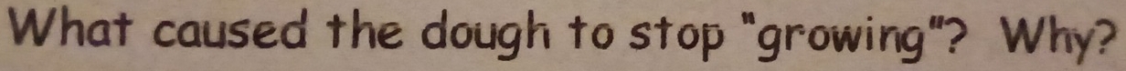 What caused the dough to stop "growing"? Why?