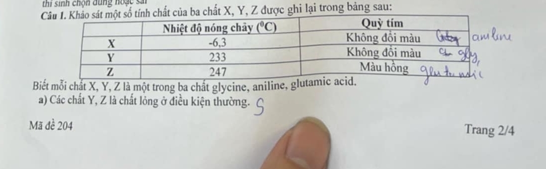 thi sinh chọn dung noặc sả
ba chất X, Y, Z được ghi lại trong bảng sau:
Biết mỗi chất X, Y, Z là một trong ba chất glycine, aniline, g
a) Các chất Y, Z là chất lỏng ở điều kiện thường.
Mã đề 204 Trang 2/4