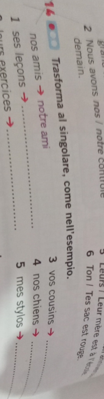 grat 
Tannives 
2 Nous avons nos / notre contrule 3 'Leurs / Leur mère est à l'école 
6 Ton I Tes sac est rouge. 
demain. 
_ 
14 ●○□ Trasforma al singolare, come nell'esempio. 
3 vos cousins 
_ 
_ 
nos amis notre ami 
4 nos chiens 
1 ses leçons _ 5 mes stylos_ 
lurs exercices