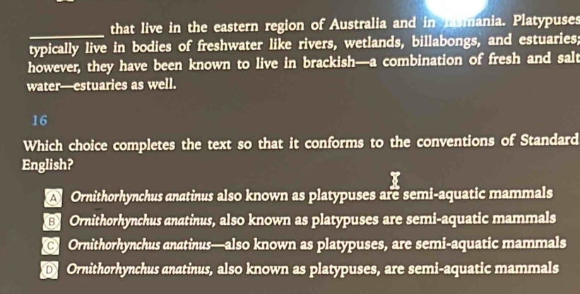 that live in the eastern region of Australia and in lasmania. Platypuses
typically live in bodies of freshwater like rivers, wetlands, billabongs, and estuaries;
however, they have been known to live in brackish—a combination of fresh and salt
water—estuaries as well.
16
Which choice completes the text so that it conforms to the conventions of Standard
English?
A Ornithorhynchus anatinus also known as platypuses are semi-aquatic mammals
@ Ornithorhynchus anatinus, also known as platypuses are semi-aquatic mammals
← Ornithorhynchus anatinus—also known as platypuses, are semi-aquatic mammals
D Ornithorhynchus anatinus, also known as platypuses, are semi-aquatic mammals