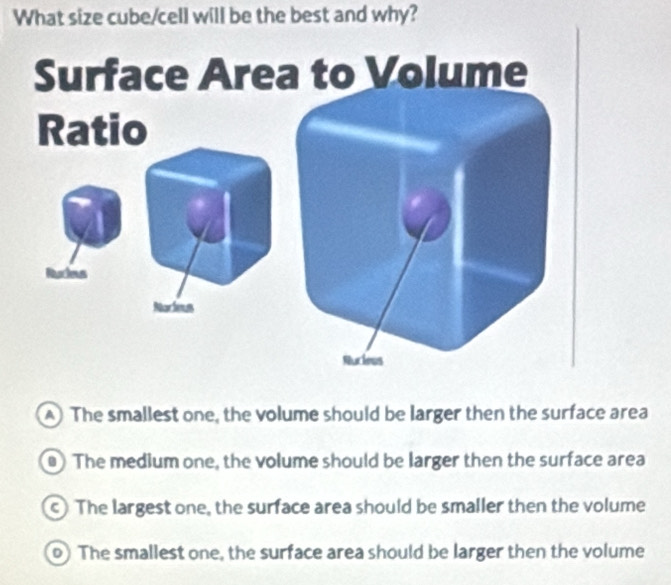Solved: What size cube/cell will be the best and why? Surface Area to ...