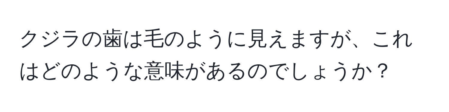 クジラの歯は毛のように見えますが、これはどのような意味があるのでしょうか？