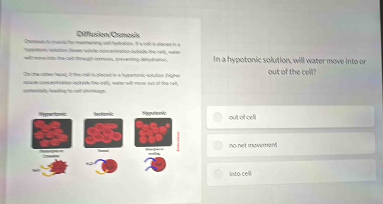 Diffusion/Osmosis
Qsmosis is crucial for maintaining cell hydration. If a cell is placed in a
onic solution (Jower solute concentration outside the cell), water
will rmove- into the cell through comosis, preventing dehydration. In a hypotonic solution, will water move into or
On the other hand, if the cell is placed in a hypertonic solution (higher out of the cell?
spiate concentnation outde the cell, water will move out of the cell,
cumnnally leading to cell shinkage .
out of cell
no net movement
into cell