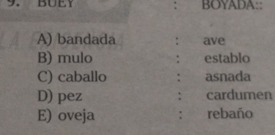 BUEY : BOYADA:: 
A) bandada : ave 
B) mulo establo 
: 
C) caballo : asnada 
D) pez : cardumen 
E) oveja rebaño 
: