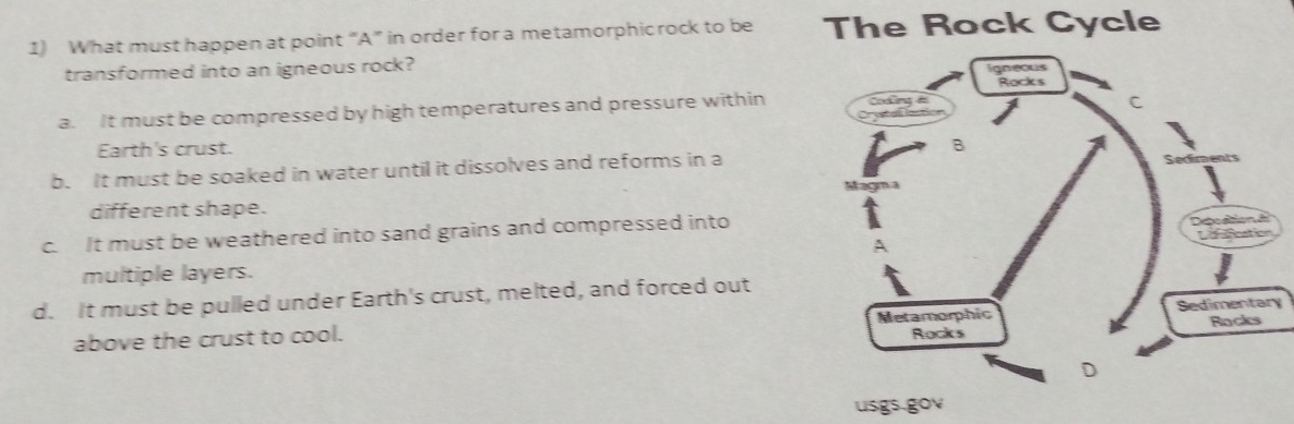 What must happen at point “ A ” in order for a metamorphic rock to be The Rock Cycle
transformed into an igneous rock?
a. It must be compressed by high temperatures and pressure within
Earth's crust.
b. It must be soaked in water until it dissolves and reforms in a
different shape.
c. It must be weathered into sand grains and compressed into
multiple layers.
d. It must be pulled under Earth's crust, melted, and forced out
above the crust to cool. y
usgs gov