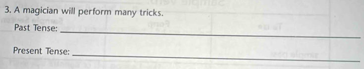 A magician will perform many tricks. 
Past Tense: 
_ 
_ 
Present Tense: