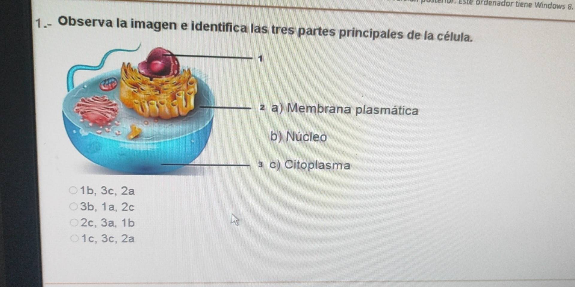 Este ordenador tiene Windows 8.
1 _ Observa la imagen e identifica las tres partes principales de la célula.
) Membrana plasmática
) Núcleo
Citoplasma
1b, 3c, 2a
3b, 1a, 2c
2c, 3a, 1b
1c, 3c, 2a