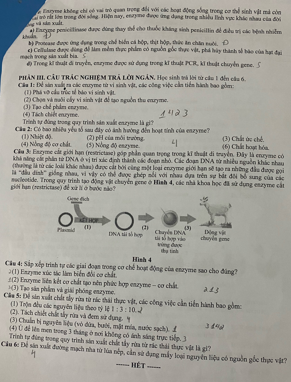 Enzyme không chỉ có vai trò quan trọng đối với các hoạt động sống trong cơ thể sinh vật mà còn
Kai trò rất lớn trong đời sống. Hiện nay, enzyme được ứng dụng trong nhiều lĩnh vực khác nhau của đời
vòng và sản xuất.
a) Enzyme penicillinase được dùng thay thế cho thuốc kháng sinh penicillin để điều trị các bệnh nhiễm
khuần.
b) Protease được ứng dụng trong chế biến cá hộp, thịt hộp, thức ăn chăn nuôi.
c) Cellulase được dùng để làm mềm thực phẩm có nguồn gốc thực vật, phá hủy thành tế bào của hạt đại
mạch trong sản xuất bia. ≤
d) Trong kĩ thuật di truyền, enzyme được sử dụng trong kĩ thuật PCR, kĩ thuật chuyển gene.
PHÀN III. CÂU TRÁC NGHIỆM TRẢ LờI NGÁN. Học sinh trả lời từ câu 1 đến câu 6.
Câu 1: Để sản xuất ra các enzyme từ vi sinh vật, các công việc cần tiến hành bao gồm:
(1) Phá vỡ cấu trúc tế bào vi sinh vật.
(2) Chọn và nuôi cấy vi sinh vật để tạo nguồn thu enzyme.
(3) Tạo chế phẩm enzyme.
(4) Tách chiết enzyme.
Trình tự đúng trong quy trình sản xuất enzyme là gì?
Câu 2: Có bao nhiêu yếu tố sau đây có ảnh hưởng đến hoạt tính của enzyme?
(1) Nhiệt độ. (2) pH của môi trường. (3) Chất ức chế.
(4) Nồng độ cơ chất. (5) Nổng độ enzyme. (6) Chất hoạt hóa.
Câu 3: Enzyme cắt giới hạn (restrictase) góp phần quan trọng trong kĩ thuật di truyền. Đây là enzyme có
khả năng cắt phân tử DNA ở vị trí xác định thành các đoạn nhỏ. Các đoạn DNA từ nhiều nguồn khác nhau
(thường là từ các loài khác nhau) được cắt bởi cùng một loại enzyme giới hạn sẽ tạo ra những đầu được gọi
là 'đầu dính” giống nhau, vì vậy có thể được ghép nối với nhau dựa trên sự bắt đôi bổ sung của các
nucleotide. Trong quy trình tạo động vật chuyền gene ở Hình 4, các nhà khoa học đã sử dụng enzyme cắt
giới hạn (restrictase) để xử lí ở bước nào?
Hình 4
Câu 4: Sắp xếp trình tự các giai đoạn trong cơ chế hoạt động của enzyme sao cho đúng?
(1) Enzyme xúc tác làm biến đổi cơ chất.
(2) Enzyme liên kết cơ chất tạo nên phức hợp enzyme - cơ chất.
(3) Tạo sản phẩm và giải phóng enzyme.
Cầu 5: Để sản xuất chất tẩy rửa từ rác thải thực vật, các công việc cần tiến hành bao gồm:
(1) Trộn đều các nguyên liệu theo tỷ lệ 1:3:10
(2). Tách chiết chất tẩy rửa và đem sử dụng.
(3) Chuẩn bị nguyên liệu (vỏ dứa, bưởi, mật mía, nước sạch). 
(4) Ủ để lên men trong 3 tháng ở nơi không có ánh sáng trực tiếp.
Trình tự đúng trong quy trình sản xuất chất tấy rửa từ rác thải thực vật là gì?
Câu 6: Để sản xuất đường mạch nha từ lúa nếp, cần sử dụng mấy loại nguyên liệu có nguồn gốc thực vật?
_Hét_
