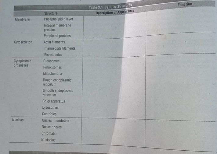 Table 3.1 Cellular Structures Function