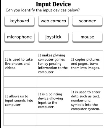 Input Device
Can you identify the input devices below?
keyboard web camera scanner
microphone joystick mouse