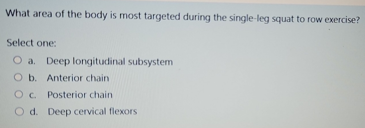 Solved: What area of the body is most targeted during the single-leg ...